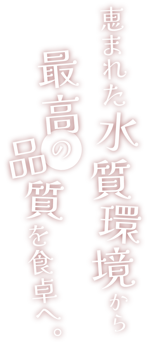 恵まれた水質環境から最高の品質を食卓へ。